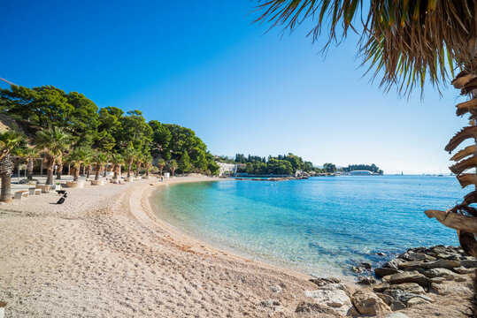 Scenic view of Kasjuni Beach in Split, Croatia. Turquoise Adriatic sea, pebble shore with palm trees and green pine forest under a clear blue sky.