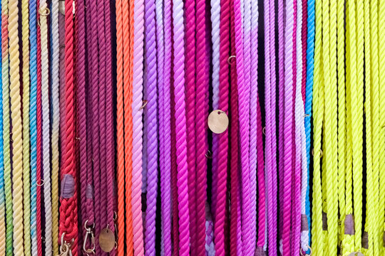 Colorful dog leash ropes hanging in pet shop display
