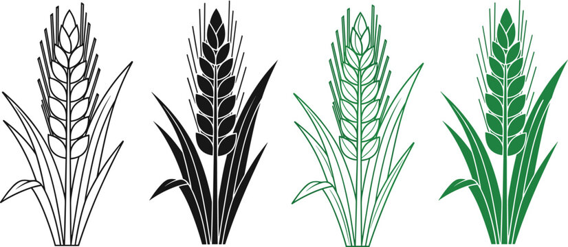 Vector illustration of various wheat or grass stalks in different colors