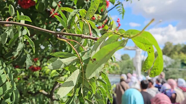 Group of people are standing worship crucifixion of Christ in front of a tree with red berries. The tree is surrounded by a fence