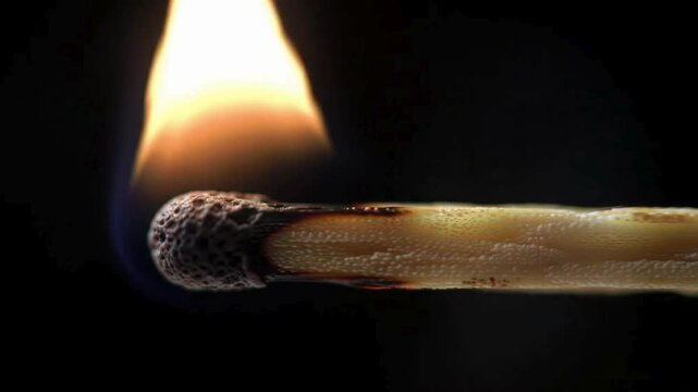 extreme close up of a wooden match stick burning