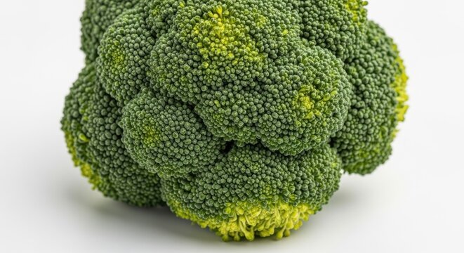 Fresh broccoli head isolated on white background for healthy eating concepts