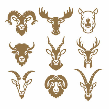 Various animal heads with horns and antlers.