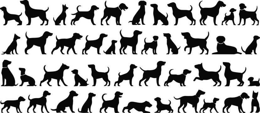 dog silhouette chart comparison of sizes shapes and postures