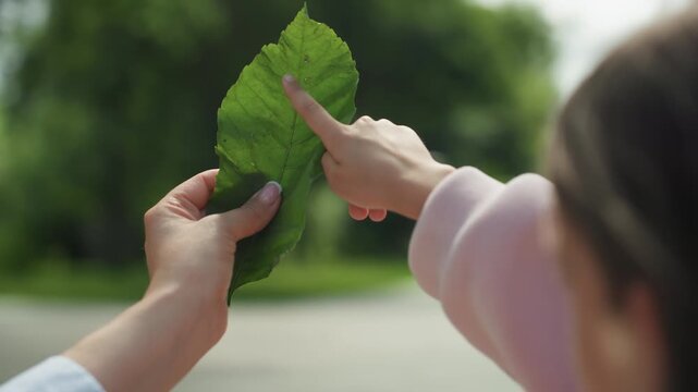 Exploring leaf details. Mother and daughter study leaf intricacies. Mother guides child through leaf vein patterns. Child observes leaf structure as mother explains natural features outdoors