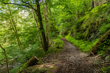 Obraz premium Hiking trail in Bode valley, Saxony-Anhalt state, Germany