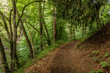 Obraz premium Hiking trail in Bode valley, Saxony-Anhalt state, Germany