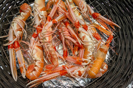 Fresh langoustines in a black basket