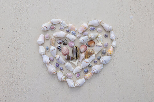 Heart made on sea shells on a sandy beach on Zanzibar in Tanzania