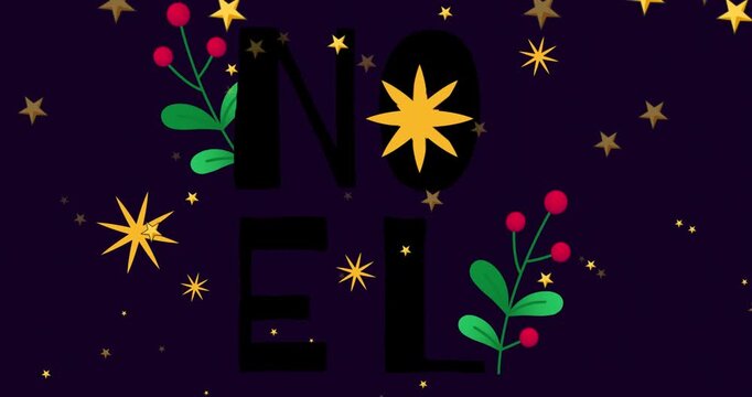 Animation of stars and mistletoe over noel text on black background