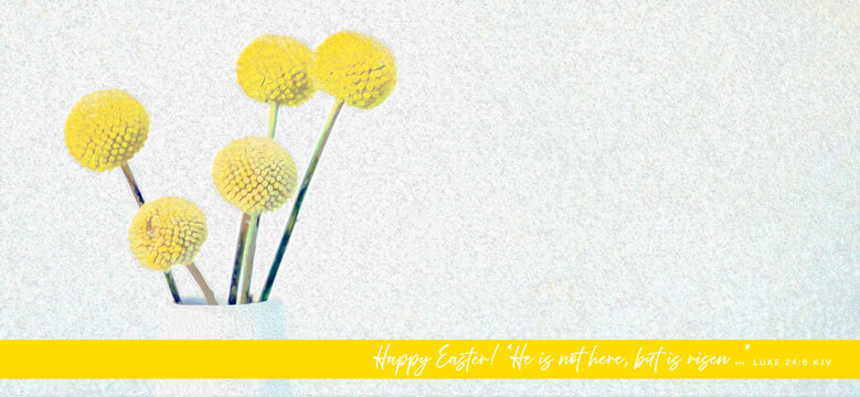 Happy Easter Message with Luke 24:6 "He is not here, but is risen . . ."  on Textured White & Gray Background & a Vase of Round Spherical Yellow Flowers In Bloom for Spring Bouquets, Arrangements
