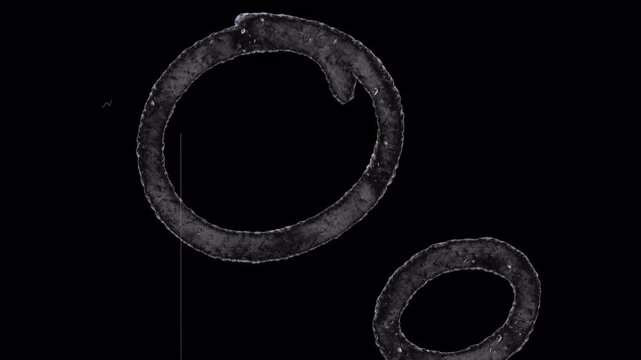 Abstract black ink circles with rough brush texture, grunge paint ring shapes, artistic monochrome watercolor strokes on dark background