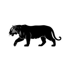 black tiger walking on white background © Irma