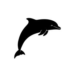 Fototapeta premium black dolphin silhouette jumping out of water