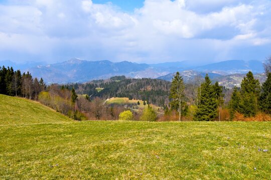 Green fields and forest covered hills in Slovenian prealps at Bevkov Vrh in Gorenjska in springtime
