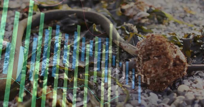 Kelp stipe resting on pebbles, bars entering from left shifting over scene for environmental design
