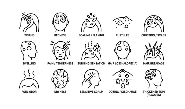 Common scalp and skin conditions illustrated with symptoms