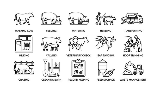 Farm animal management and care icons: feeding, milking, veterinary, and more