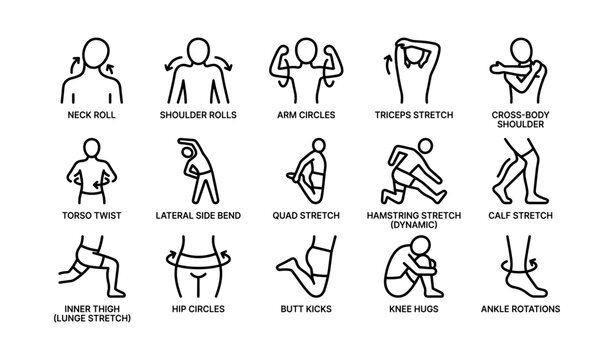 Illustrated guide to 15 stretching exercises for flexibility and warm-up