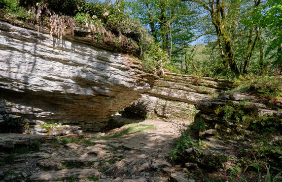 Rocky labyrinth beam in Khosta Yew-Boxwood Grove. Sochi. Khostinsky district. Russia