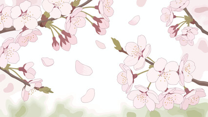 Fototapeta premium Delicate Cherry Blossom Branch & Falling Petals Background - Spring Nature Design