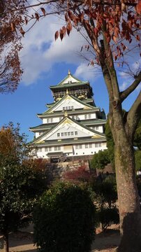 Osaka Castle Framed by Trees in Vertical Video
