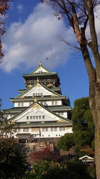 Osaka Castle Vertical Travel Video with Blue Sky and Trees