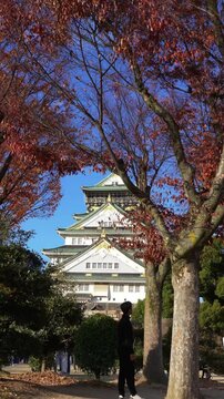 Iconic Osaka Castle with autumn foliage and traveler