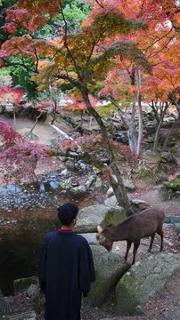 Traveler interacting with deer in colorful autumn landscape