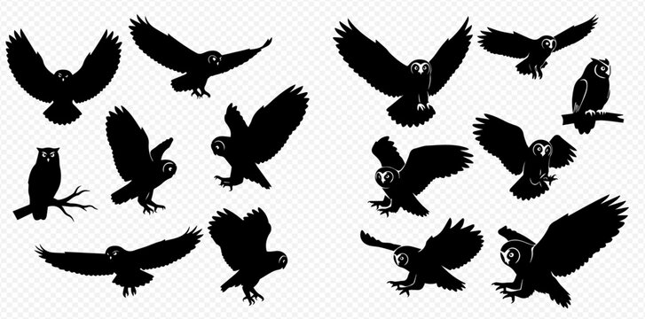 Collection of owl silhouettes in various poses including flying, perched, and landing, isolated on a transparent background.
