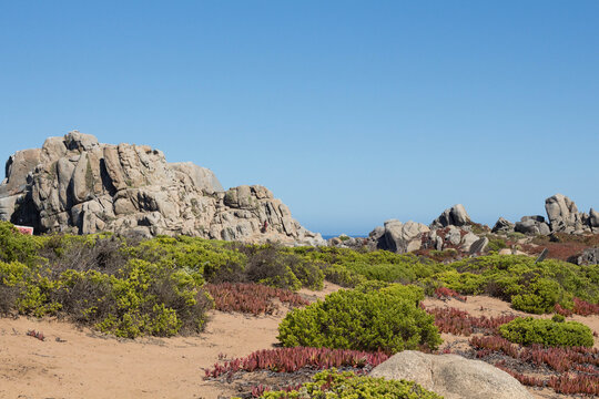 Granite rock formations and coastal vegetation at Piedra del Trueno peninsula, Punta de Tralca, Chile