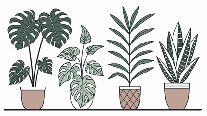 Minimalist collection of four various green houseplants in ceramic pots for interior decoration © Muhamad