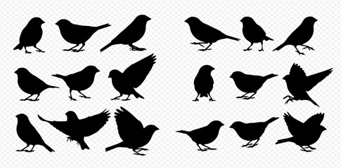 Collection of bird silhouettes in various poses, including flying and standing, on a transparent background. © Akun