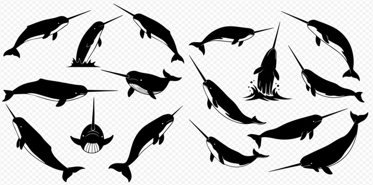 Collection of Narwhal Silhouettes in Various Poses, Featuring the Unicorn of the Sea.