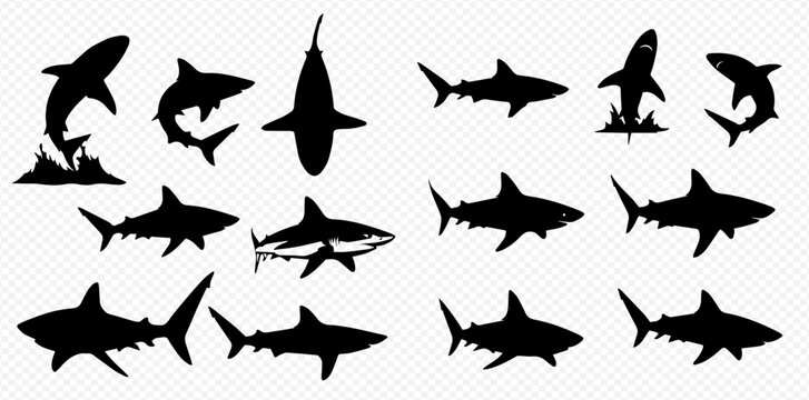 Set of various shark silhouettes, including great white and hammerhead, in different poses and angles, isolated on transparent background.