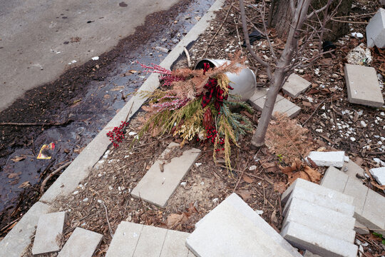 ditched flower plant