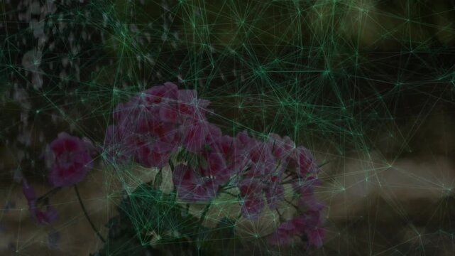 Digital mesh pulsing over pink hydrangea with water cascading and revealing moisture data effect