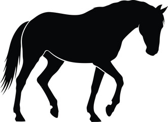 Obraz premium Black Horse Silhouette Icon for Equestrian Logo and Design Projects