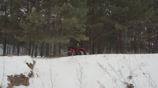 Red atv emerges from pine forest, helmeted rider scouts snowy ridge, distant evergreens, crisp winter light, slow steady approach, visible tire tracks and frozen embankment, exploratory outdoor mood