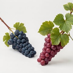 Fototapeta premium Fresh Red and Blue Grapes with Green Leaves Isolated on White Background