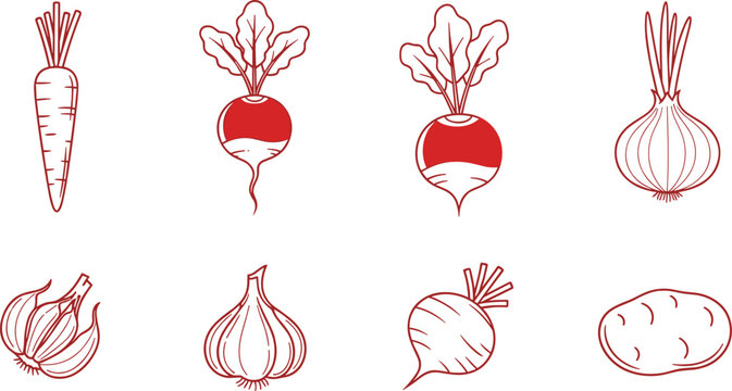 Set of colorful healthy vegetables and root vegetables with a white background.