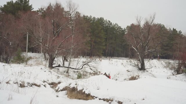 Red quad crossing snowy forest clearing, tiny machine moves through expansive white landscape, rider navigates gentle trail between pines, peaceful winter expedition with scenic solitude