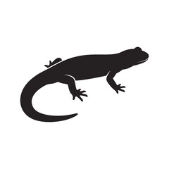 Obraz premium Salamander silhouette black and white illustration