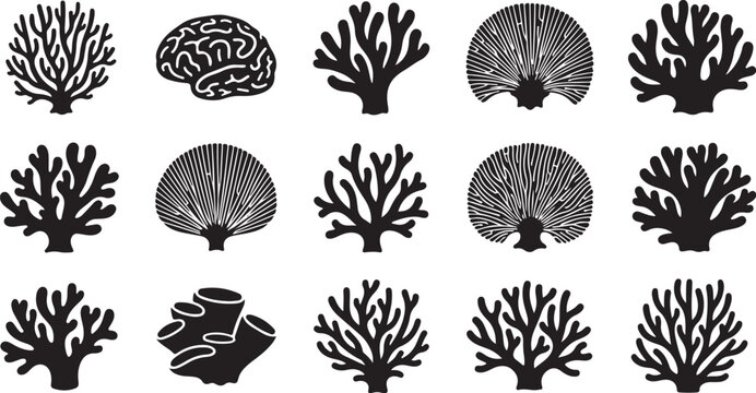 Collection of coral reef silhouettes and brain coral illustrations