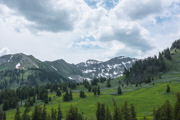 Fototapeta premium Vivid green landscape with forest hills and high rock mountain range with snow under lush clouds in blue sky. Conifer trees on pass and sharp rocky mountains with sheer crags in changeable weather.