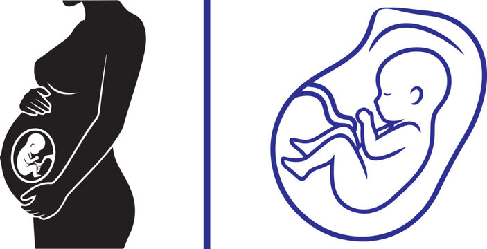 Minimalist vector set featuring a solid black silhouette of a pregnant woman and a detailed blue line art illustration of a fetus in the womb, representing maternity and prenatal growth.