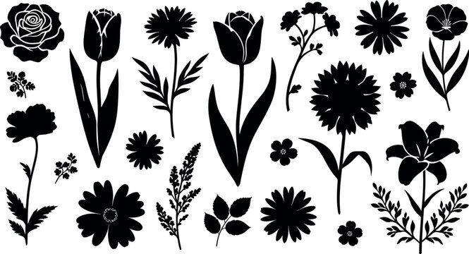 Floral silhouette vector set with rose tulip daisy wildflowers botanical black plant elements decorative collection