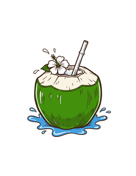 Fresh Green Coconut Water Drink with Hibiscus Flower Illustration