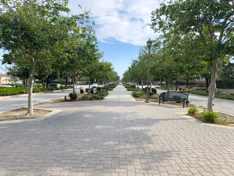 Tree lined sidewalk stretches forward with benches lamps and greenery along the path paved blocks and clean surroundings create an inviting and peaceful urban outdoor environment