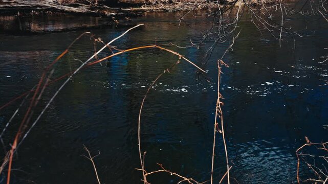 River moving by 